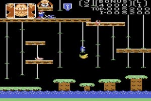 Donkey Kong Jr. Screenshot