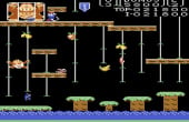 Donkey Kong Jr. - Screenshot 4 of 5