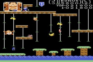 Donkey Kong Jr. Screenshot