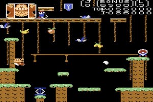Donkey Kong Jr. Screenshot
