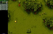 Cannon Fodder - Screenshot 6 of 6