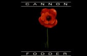 Cannon Fodder - Screenshot 4 of 6