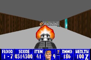 Wolfenstein 3D Screenshot