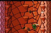 Battletoads - Screenshot 7 of 7