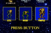 Super Battletoads - Screenshot 8 of 8