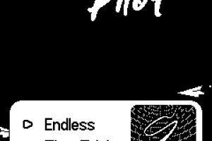 Paper Pilot Screenshot