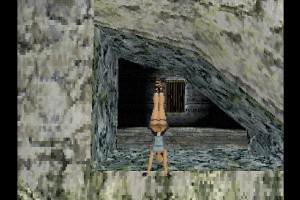 Tomb Raider Collection 1 Screenshot