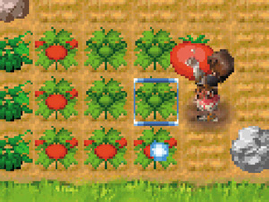 Rune Factory: A Fantasy Harvest Moon Screenshot