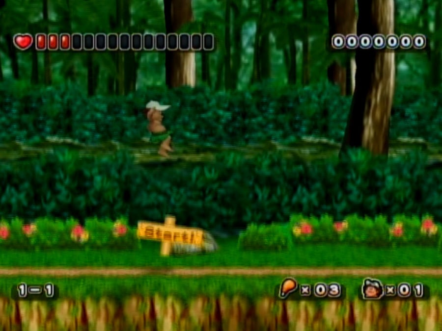 Adventure Island: The Beginning Screenshot