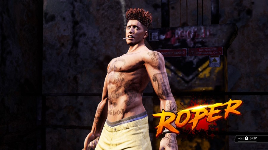 Double Dragon Revive Screenshot