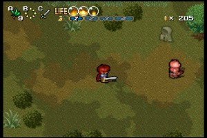 Shining Wisdom Screenshot