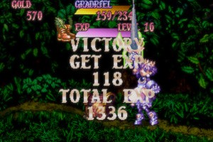 Princess Crown Screenshot
