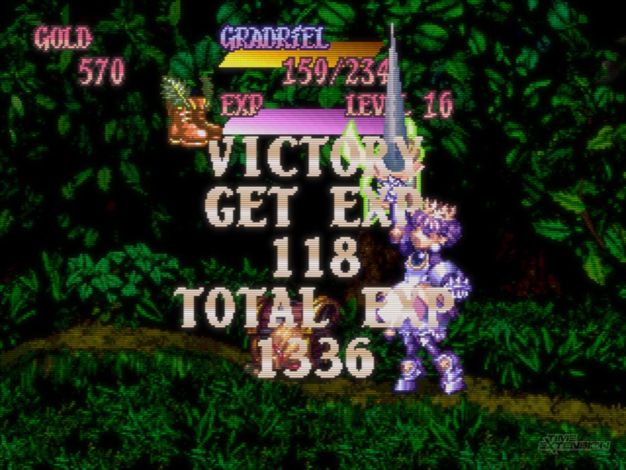 Princess Crown Screenshot