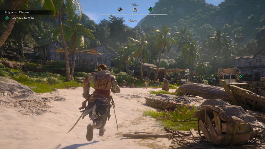 Assassin's Creed: Black Flag Resynced Screenshot
