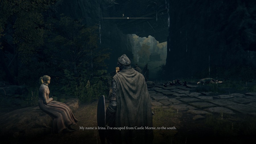 Elden Ring: Tarnished Edition Screenshot