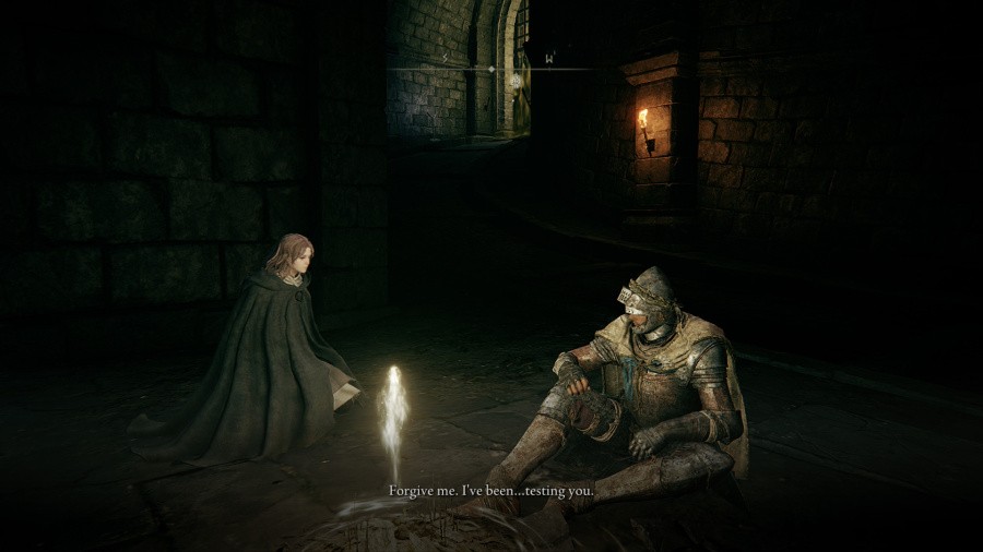 Elden Ring: Tarnished Edition Screenshot