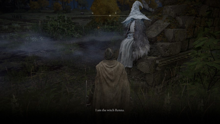 Elden Ring: Tarnished Edition Screenshot
