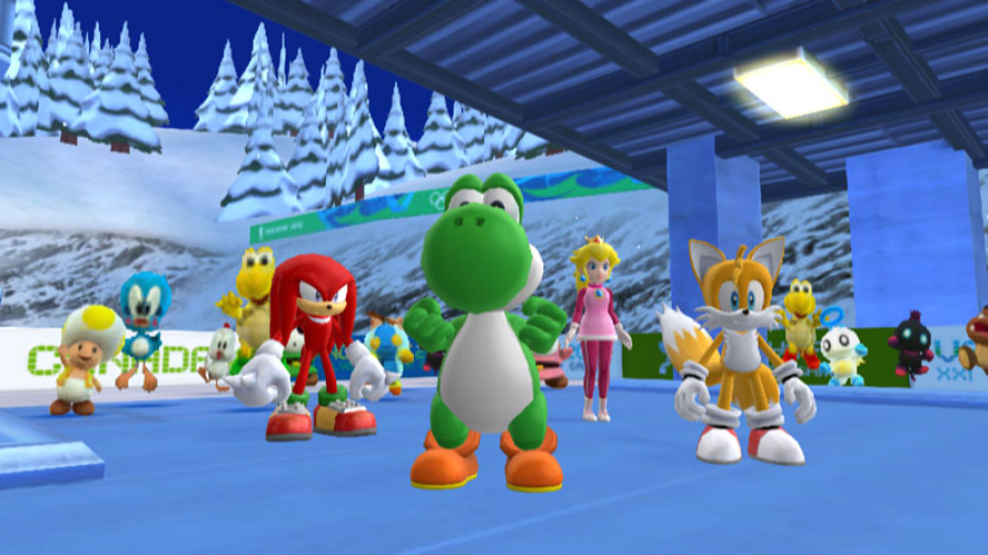 Mario & Sonic at the Olympic Winter Games Screenshot