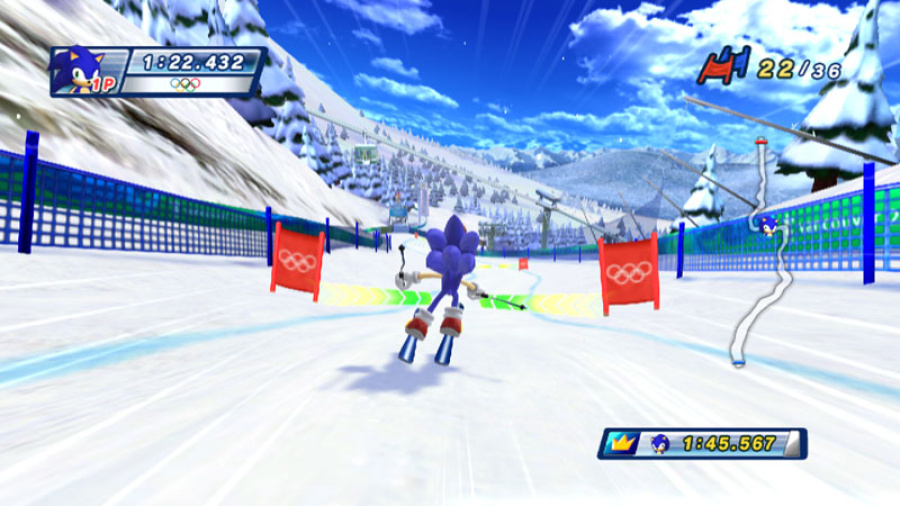 Mario & Sonic at the Olympic Winter Games Screenshot