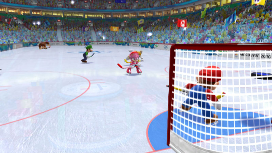 Mario & Sonic at the Olympic Winter Games Screenshot