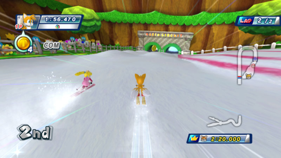 Mario & Sonic at the Olympic Winter Games Screenshot