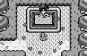 The Legend of Zelda: Link's Awakening - Screenshot 3 of 8