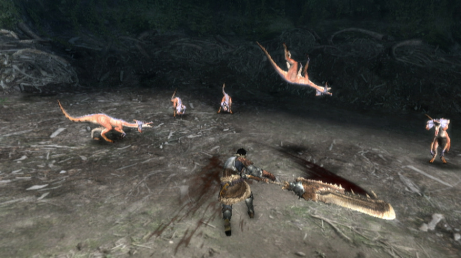 Monster Hunter 3 (Tri~) Screenshot