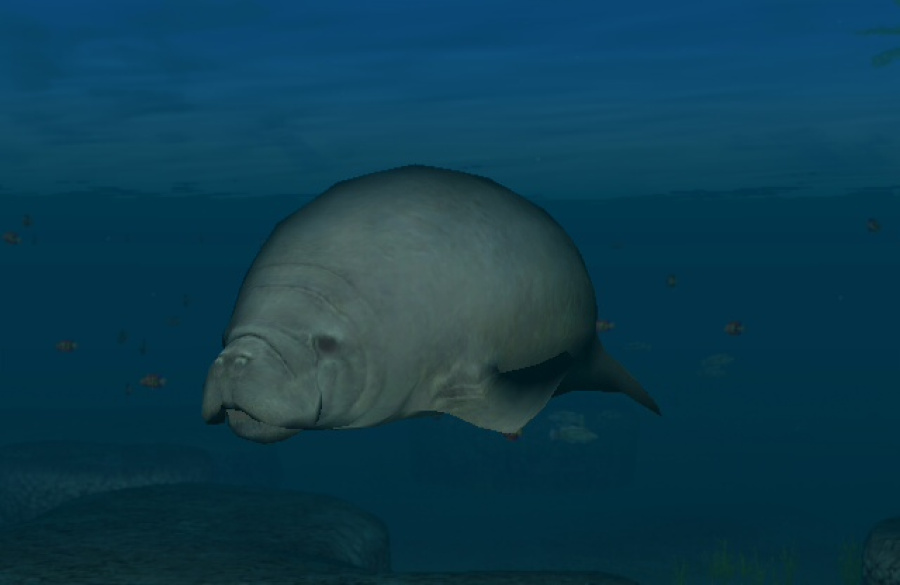 Endless Ocean 2: Adventures of the Deep Screenshot