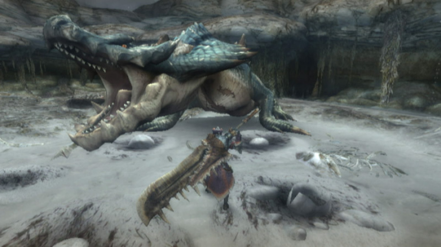 Monster Hunter 3 (Tri~) Screenshot