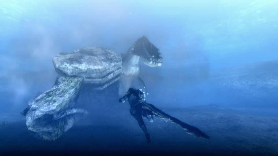 Monster Hunter 3 (Tri~) Screenshot