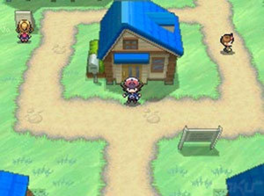 Pokémon Black and White Screenshot