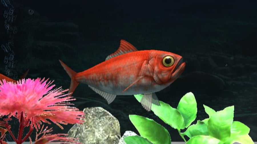 My Aquarium 2 Screenshot