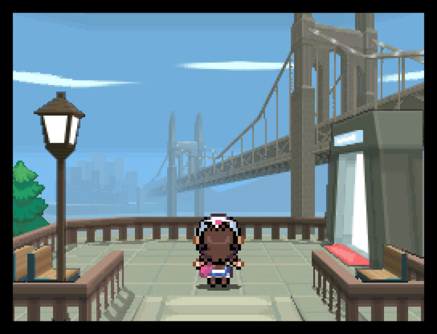 Pokémon Black and White Screenshot