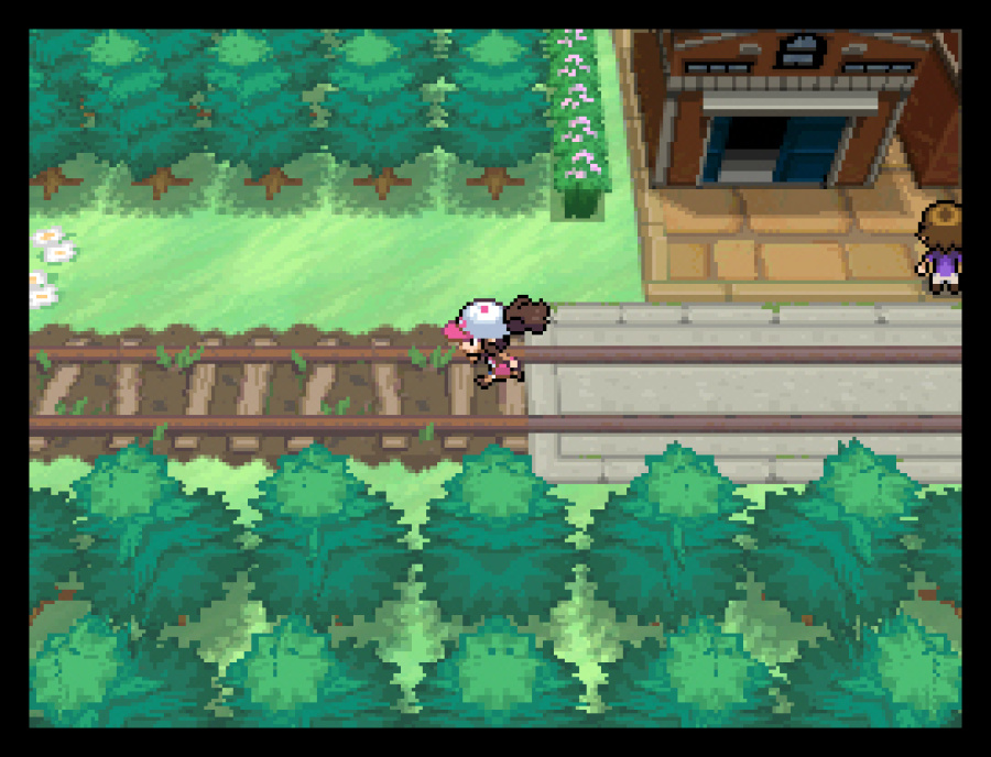 Pokémon Black and White Screenshot