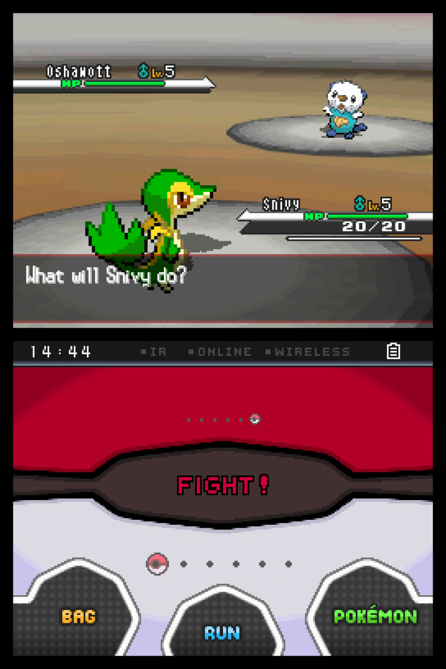 Pokémon Black and White Screenshot