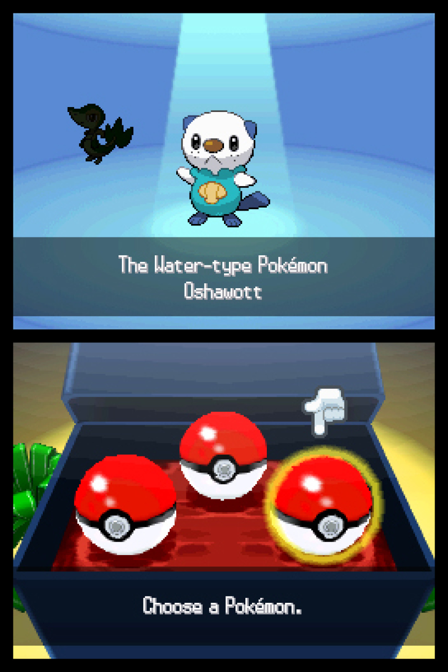 Pokémon Black and White Screenshot