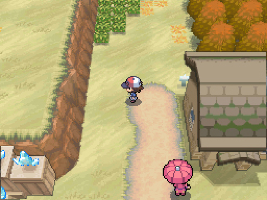 Pokémon Black and White Screenshot