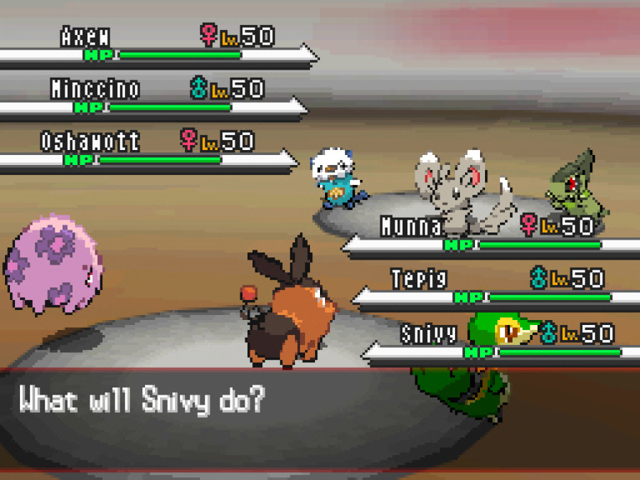 Pokémon Black and White Screenshot