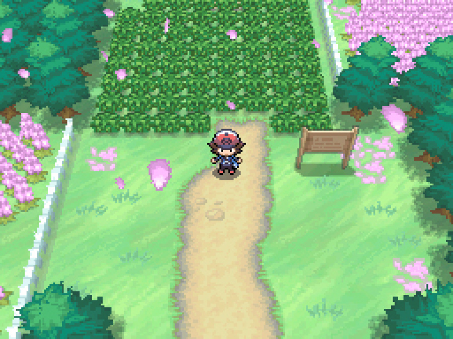 Pokémon Black and White Screenshot