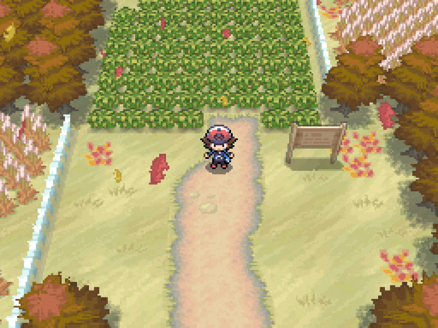 Pokémon Black and White Screenshot