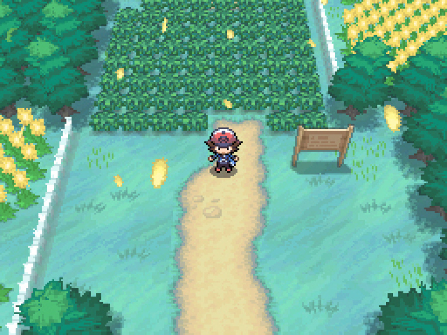 Pokémon Black and White Screenshot