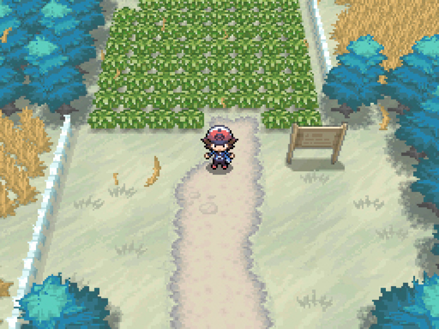 Pokémon Black and White Screenshot