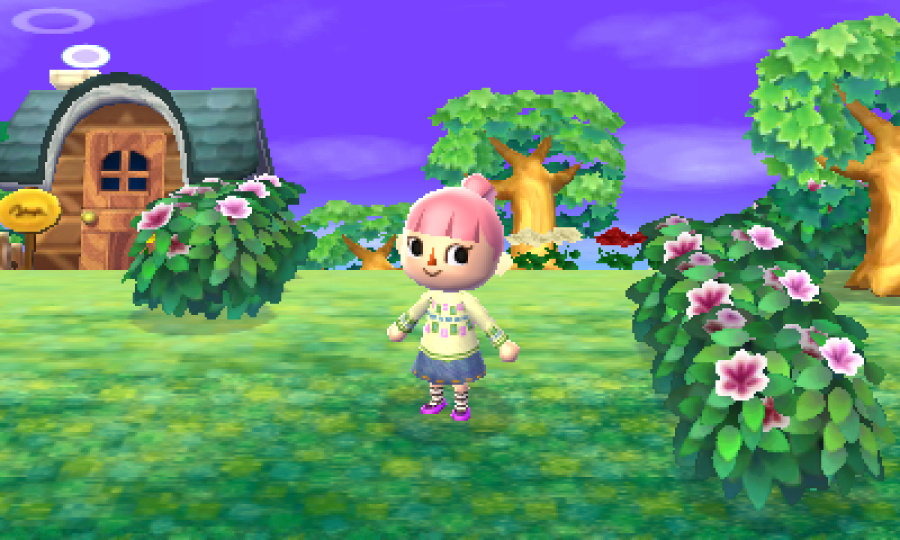 Animal Crossing: New Leaf Screenshot