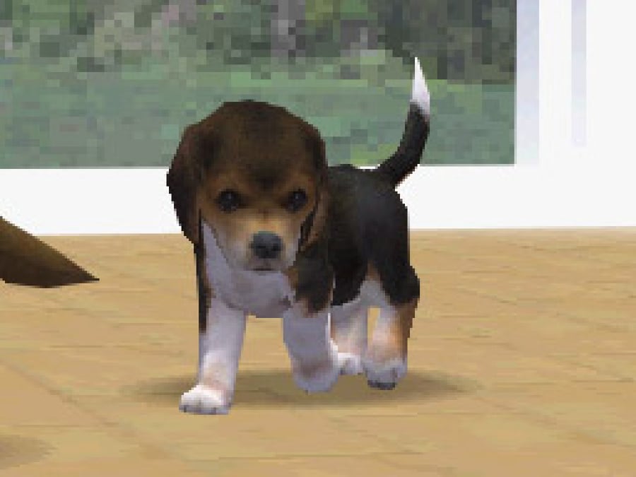 Nintendogs Screenshot