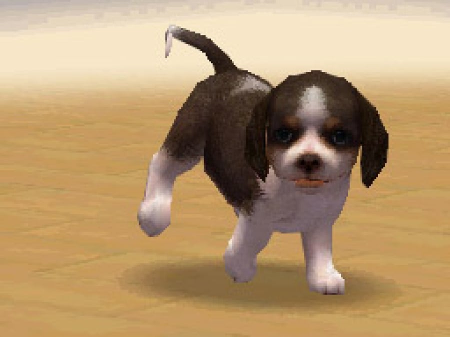 Nintendogs Screenshot