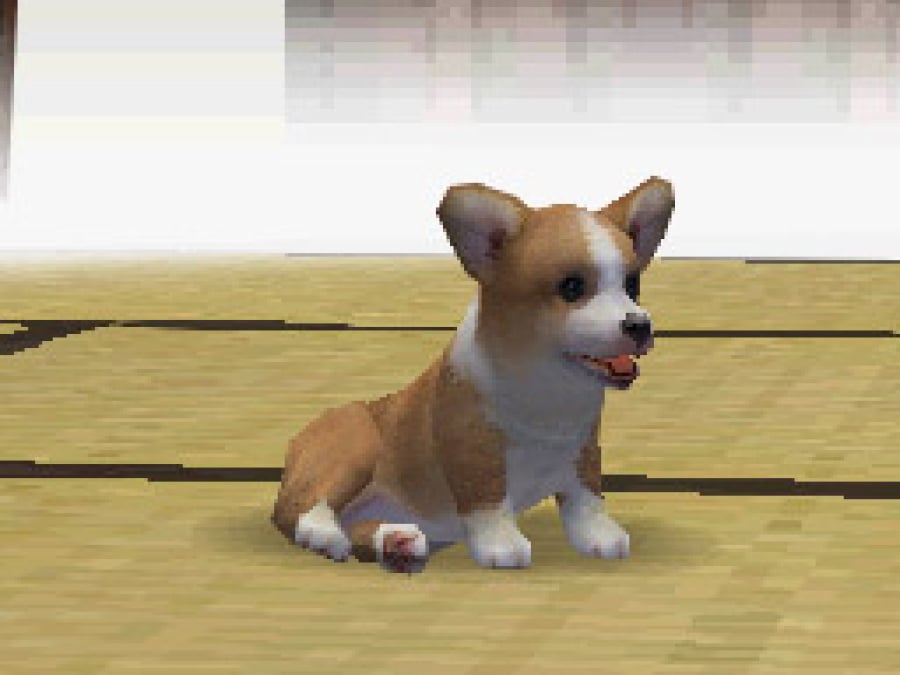 Nintendogs Screenshot