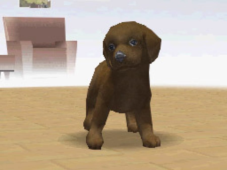 Nintendogs Screenshot