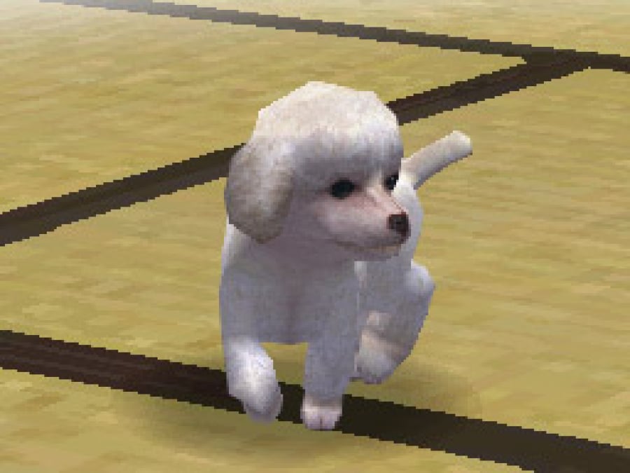 Nintendogs Screenshot