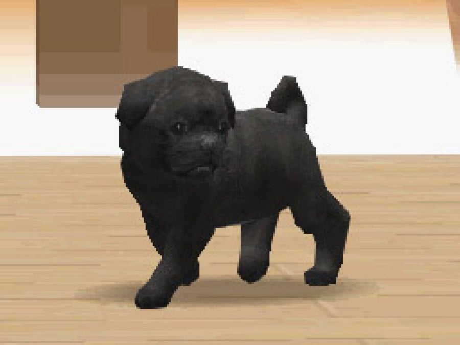 Nintendogs Screenshot