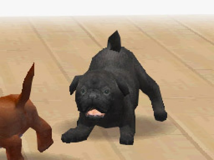 Nintendogs Screenshot